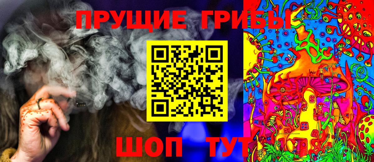 Шелехов  Галлюциногенные грибы Psilocybine cubensis  как найти наркотики  Вход с VPN 