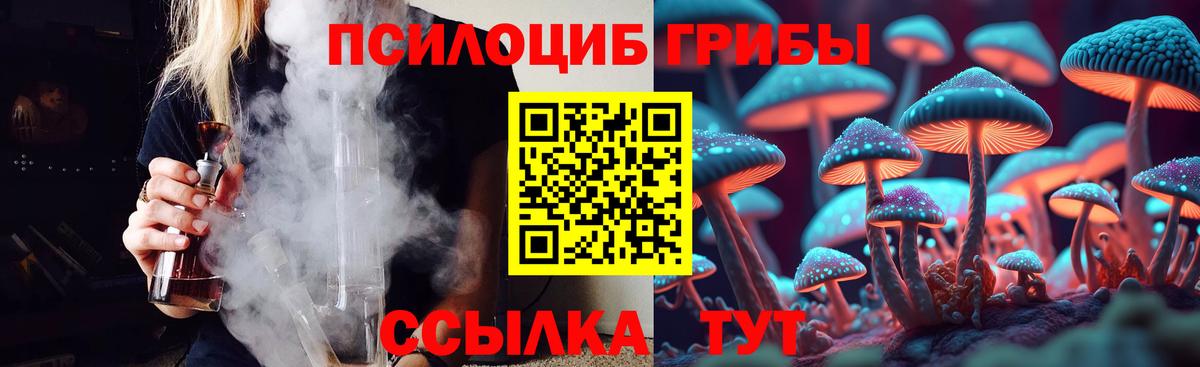 Псилоцибиновые грибы ЛСД Шелехов